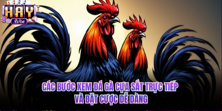 Các bước xem đá gà cựa sắt trực tiếp và đặt cược dễ dàng